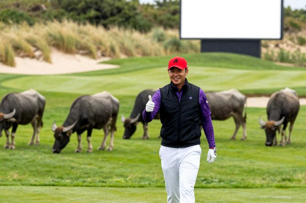 Golf Việt Nam: Khi cú putt quyết định không nằm trên green, mà nằm trong cách chúng ta đếm nhịp