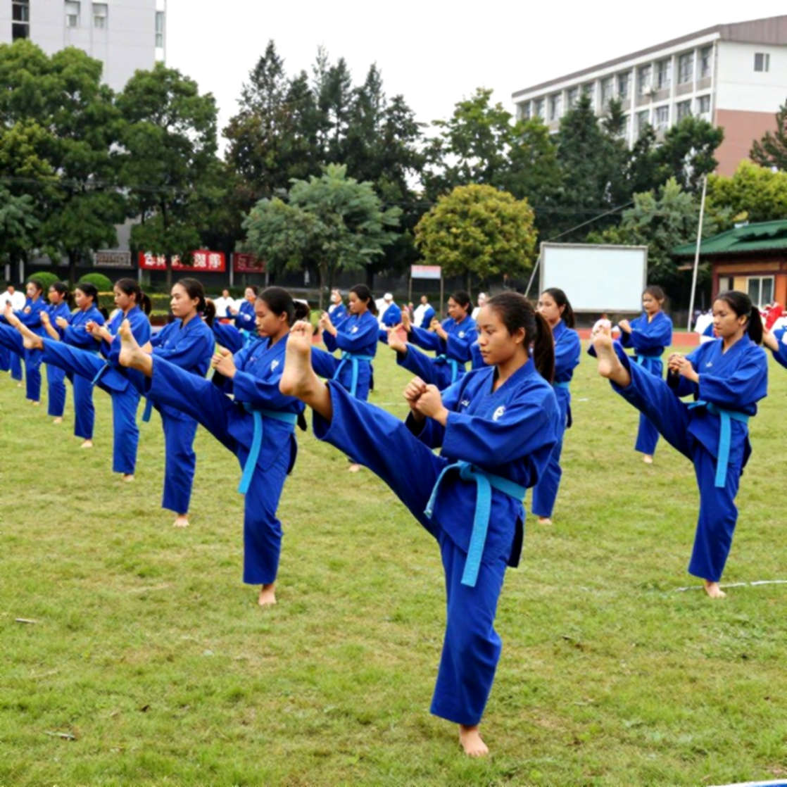 Mười bốn tháng giữa hai lần lên đài: bản đồ hệ thống của võ thuật Việt Nam